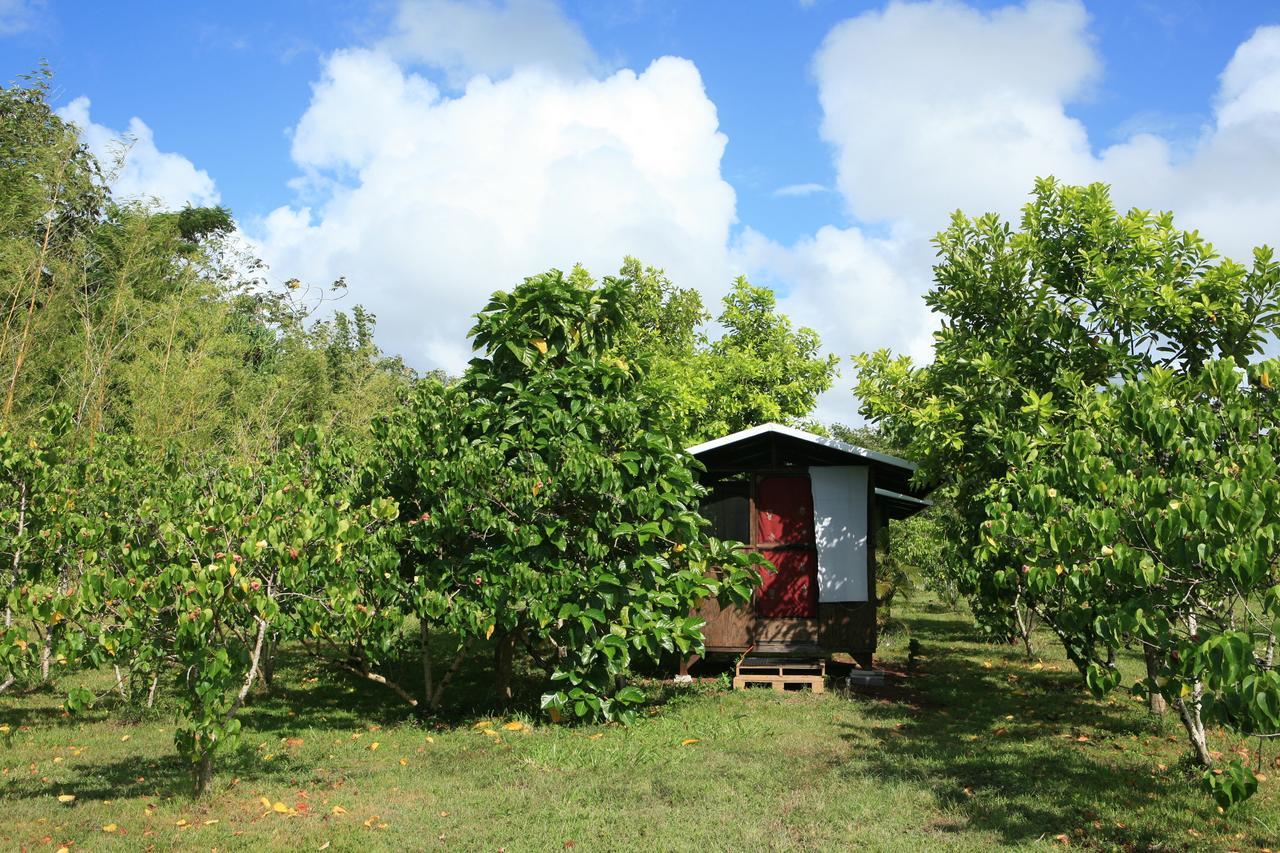 Kirpal Meditation And Ecological Center Pahoa Εξωτερικό φωτογραφία