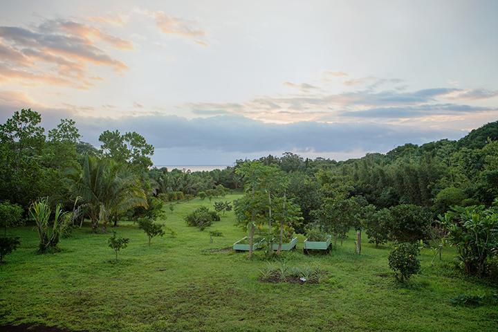 Kirpal Meditation And Ecological Center Pahoa Εξωτερικό φωτογραφία