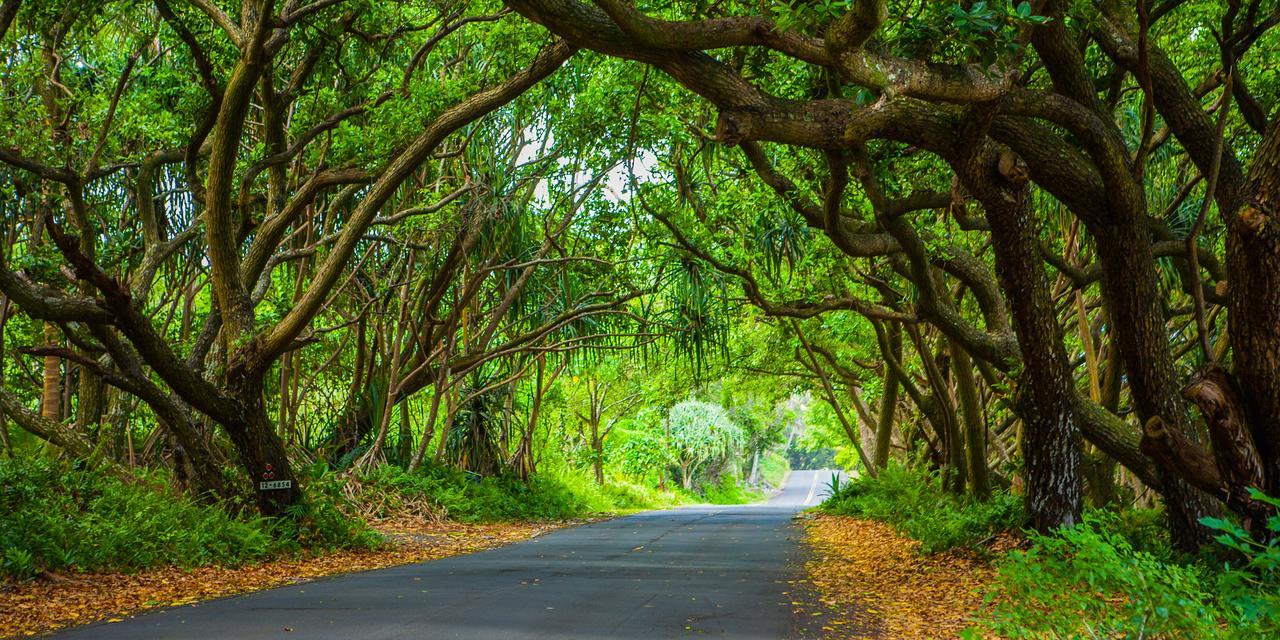 Kirpal Meditation And Ecological Center Pahoa Εξωτερικό φωτογραφία