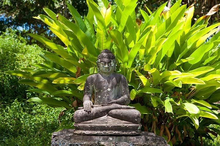 Kirpal Meditation And Ecological Center Pahoa Εξωτερικό φωτογραφία